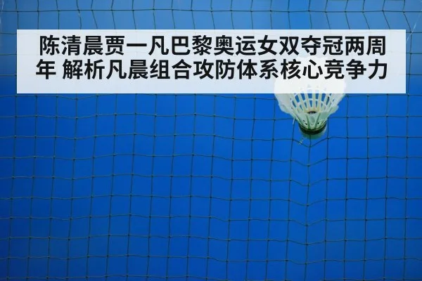 badminton net play